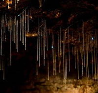 Tamborine Mountain Glow Worm Caves - Accommodation Asia