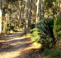 Square Head track 2 - Accommodation Asia