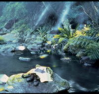 Coomera circuit - Accommodation China