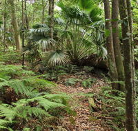 Durras Lake Discovery trail - Accommodation Asia
