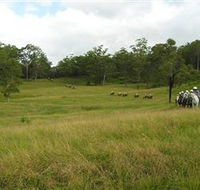 Numinbah Valley Adventure Trails - Accommodation China