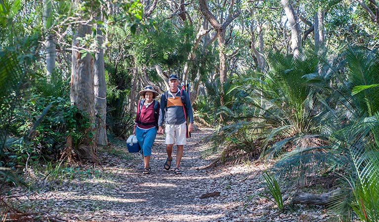 Benandarah NSW Accommodation Asia