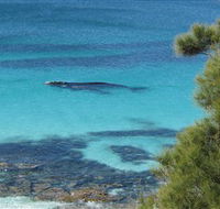 Jervis Bay Marine Park - Accommodation Guide