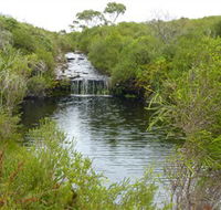Booderee National Park Green Patch and Telegraph Creek Walking Tracks - Accommodation Guide