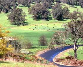 Blackwood River Tourist Drive - Accommodation Guide 0