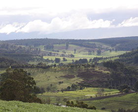 Blackwood River Tourist Drive - Accommodation Guide 2