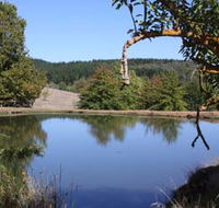 Oak Grove Walk Balingup - Accommodation Guide