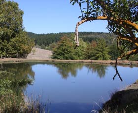 Oak Grove Walk, Balingup - Accommodation Guide 0