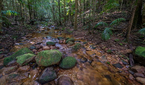 Starrs Creek Picnic Area - Accommodation Guide 0
