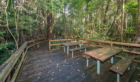 Starrs Creek Picnic Area - Accommodation Guide 1