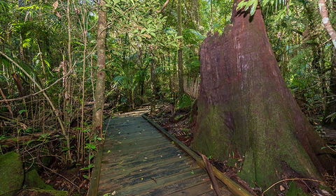 Starrs Creek Picnic Area - Accommodation Guide 2