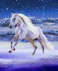 Australian Outback Spectacular: High Country Legends - Accommodation Guide 1