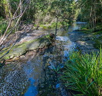 Dawson River walking track - Accommodation Guide