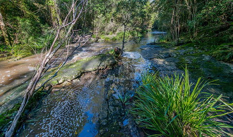Dawson River Walking Track - Accommodation Asia 0