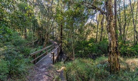 Dawson River Walking Track - Accommodation Asia 1