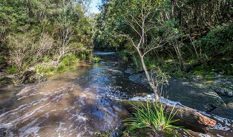Brimbin Picnic Area - Accommodation China 2