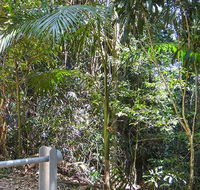 Goorgana walking track - Accommodation Guide