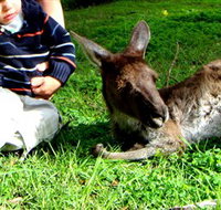 Bunbury Wildlife Park - Accommodation Guide
