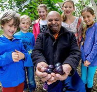 Wigay Aboriginal Culture Park - Accommodation Asia