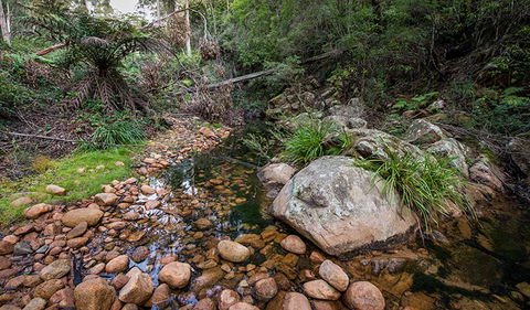 Biamanga National Park - Accommodation Guide 2