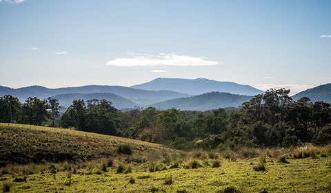 Biamanga National Park - Accommodation Guide 3