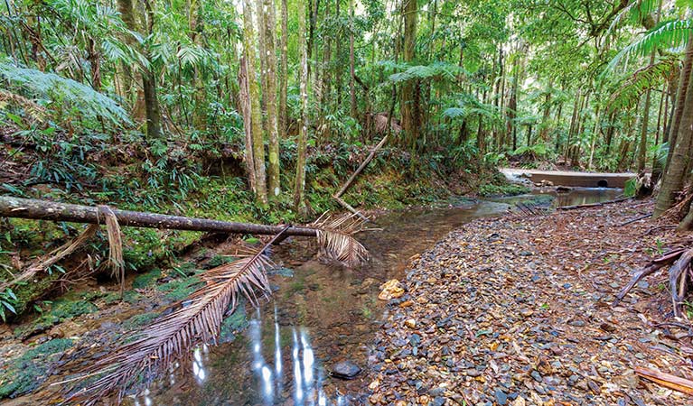 Karangi NSW Accommodation Guide