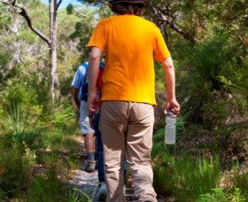 Naree Budjong Djara National Park - Accommodation Guide 3