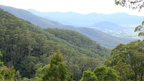 South East Forests National Park - Accommodation Guide 1