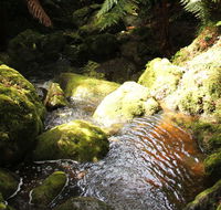 South East Forests National Park - Accommodation Guide