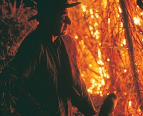 Goodwood Island NSW Accommodation China