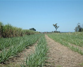 The Shed Gallery - Accommodation China 1