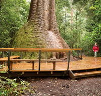 Burrawan State Forest - Accommodation Asia