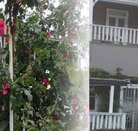 House of Gabriel - Accommodation Asia