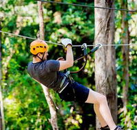 TreeTop Challenge Currumbin - Accommodation Guide