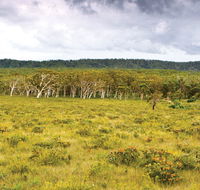 Yuraygir National Park - Accommodation China