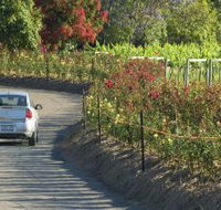 Cassegrain Wines - Accommodation China