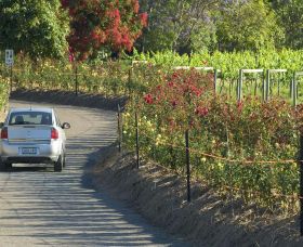Cassegrain Wines - Accommodation Asia 0