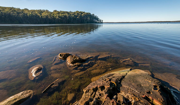 Jolly Nose NSW Accommodation Asia