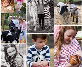Roses Vineyard And Animal Farm - Accommodation Guide 1