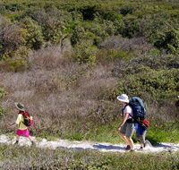 Yuraygir coastal walk - Accommodation China
