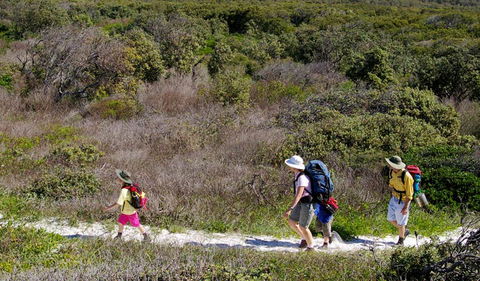 Yuraygir Coastal Walk - Accommodation China 0