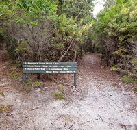 Angophora grove walking track - Accommodation China