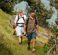 Illaroo to Wooli walking track - Accommodation Guide