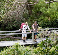 Wilsons Headland walking track - Accommodation Guide