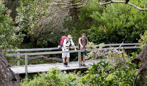 Wilsons Headland Walking Track - Accommodation China 0