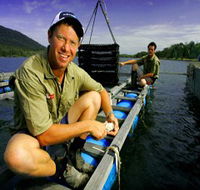 Armstrong Oysters - Accommodation Asia