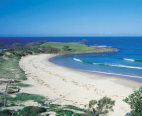 Angourie Beach - Accommodation Guide 1