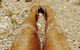 Bonny Hills Body And Beauty - thumb 2