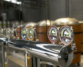 Black Duck Brewery - Accommodation China 0
