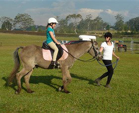 Port Macquarie Horse Riding Centre - Accommodation Asia 0